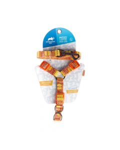 Animal Planet Pechera + Correa L - Orange