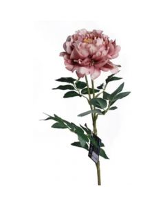 Concepts Flor Plástica - Link Promo