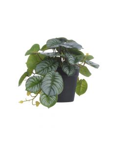 Concepts Planta Artificial Con Pote