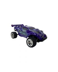 Hot Wheels Auto Baja Expedition a Control Remoto