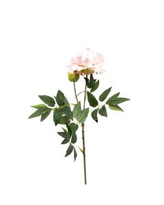 Concepts Flor Individual Peonia Rosado de 70 CM