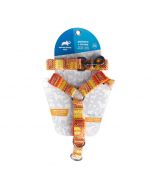 Animal Planet Pechera + Correa XL - Orange