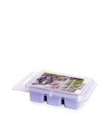 Candle-Lite Ceras Aromáticas Fresh Lavender Brezze en Cubo de 2 OZ 6 Piezas