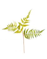 Venetian Helecho Artificial de 66 CM