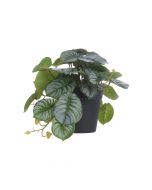 Concepts Planta Artificial Con Pote